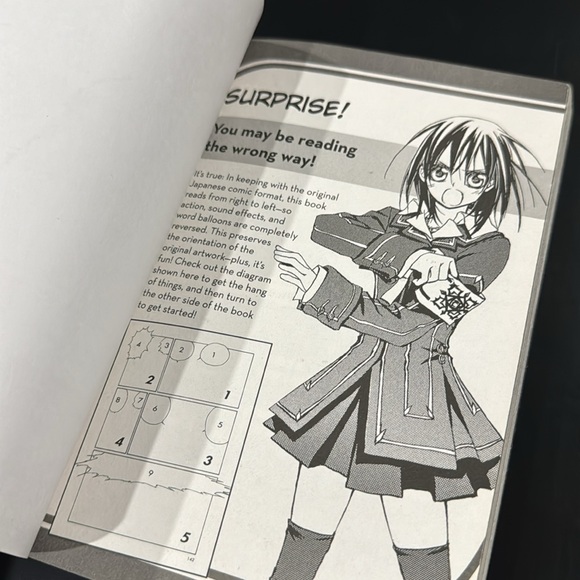 Vampire Knight: Volume 1 by Matsuri Hino - Paperback Manga Novel - Picture 6 of 10